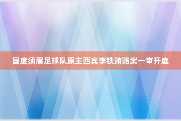 国度须眉足球队原主西宾李铁贿赂案一审开庭